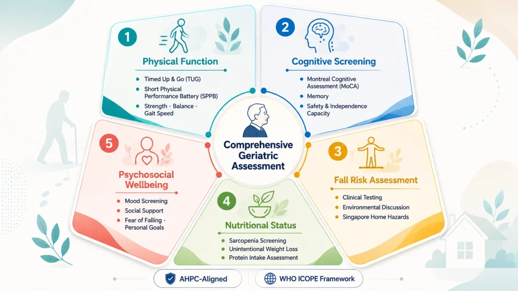 comprehensive-geriatric-assessment-five-domains-singapore
