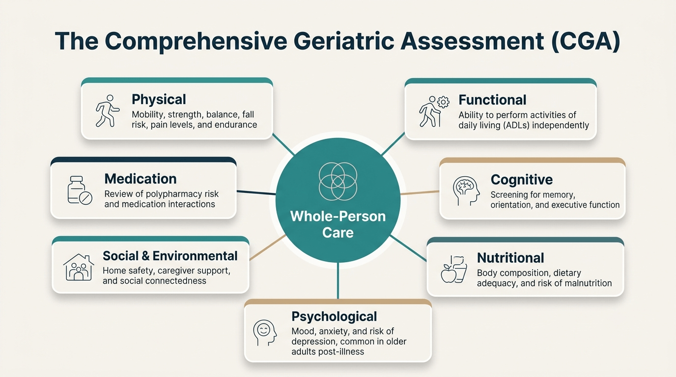 Hub-and-spoke infographic showing the seven domains of the Comprehensive Geriatric Assessment (CGA) — physical, functional, cognitive, nutritional, psychological, social & environmental, and medication — radiating from a central "whole-person care" hub, illustrating PhysioVitae's holistic approach to geriatric evaluation.