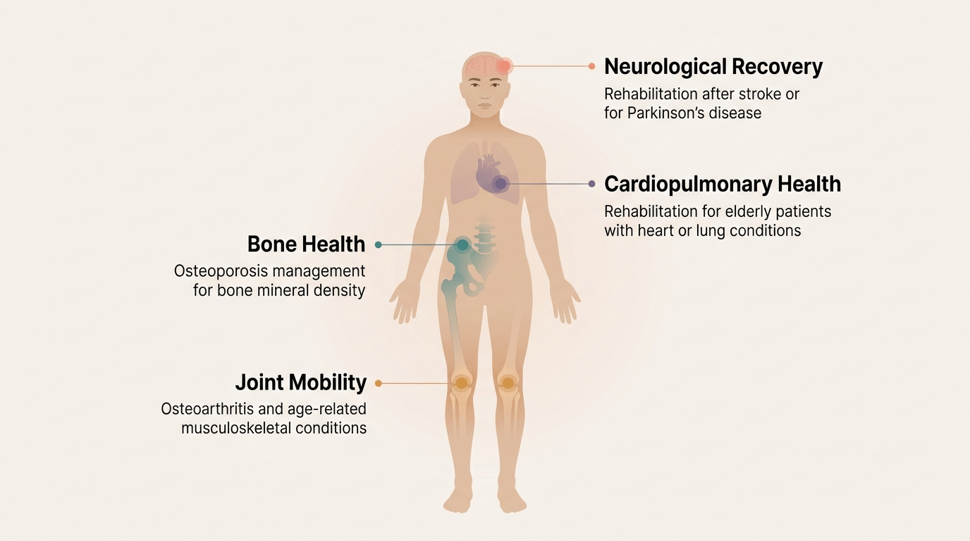 Semi-transparent full-body anatomical illustration marking four condition areas addressed in geriatric rehabilitation — bone health (osteoporosis) at the hip and spine, joint mobility (osteoarthritis) at the knees, neurological recovery (post-stroke and Parkinson's) at the head, and cardiopulmonary health at the chest — each labelled with a short descriptor of PhysioVitae's geriatric rehabilitation scope.